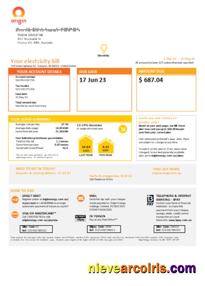 New South Wales (NSW) Origin electricity utility business bill,, page 1